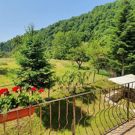 Bran 99 Villa Exterior foto